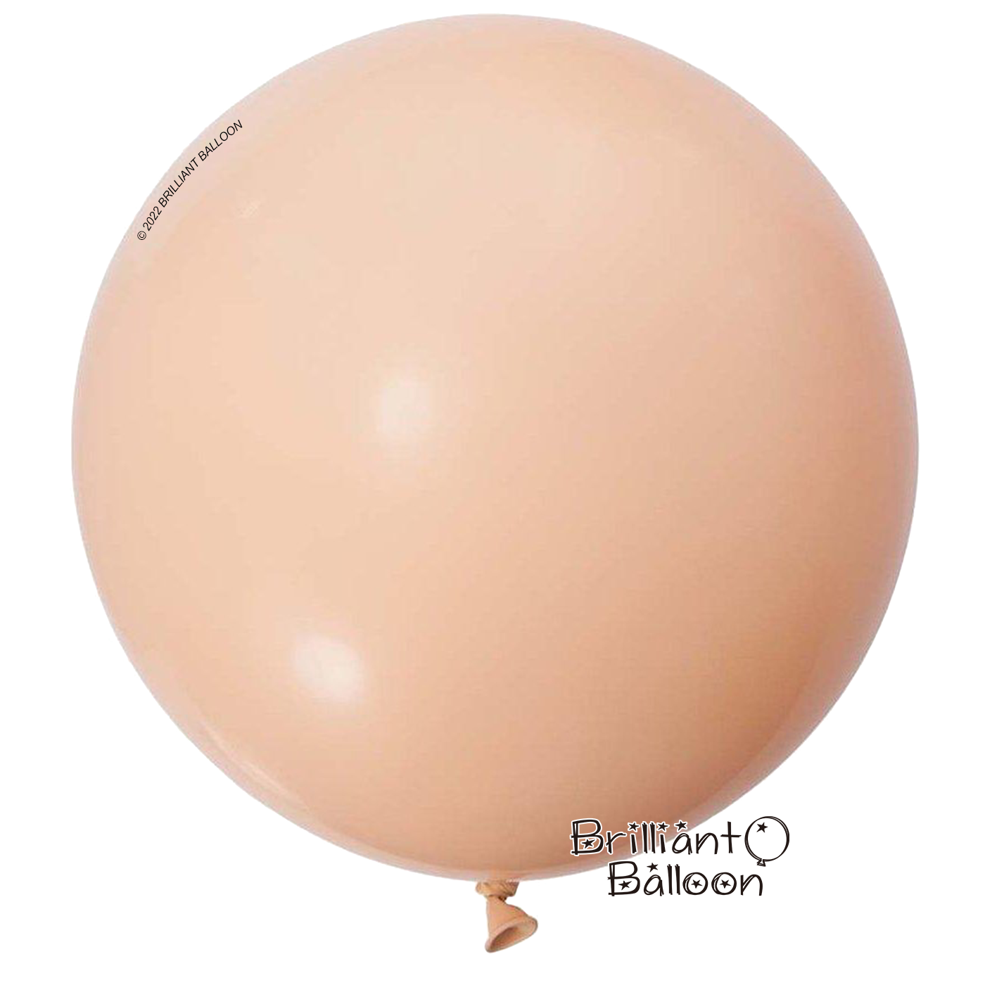 Blush-36-Latex-1